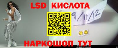 ПСИЛОЦИБИНОВЫЕ ГРИБЫ Гатчина