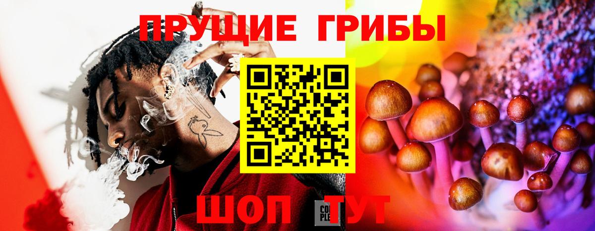 Псилоцибиновые грибы MAGIC MUSHROOMS Нижнеудинск