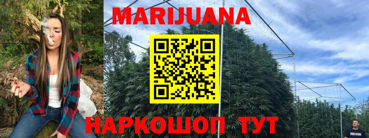 Шишки марихуана план Нижнеудинск